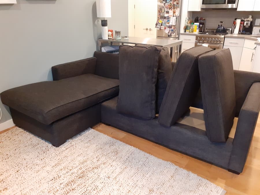 Mejor limpiador de alfombras para orina de mascotas en Brooklyn Queens.